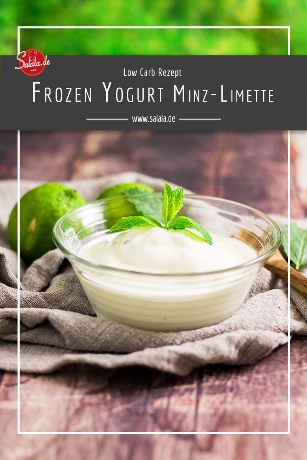 Frozen Yogurt mit Limette und Minze - by salala.de - zuckerfrei Low Carb Rezept mit Ibywind YF700 #lowcarb #lowcarbrezept #frozenyoghurt #zuckerfrei