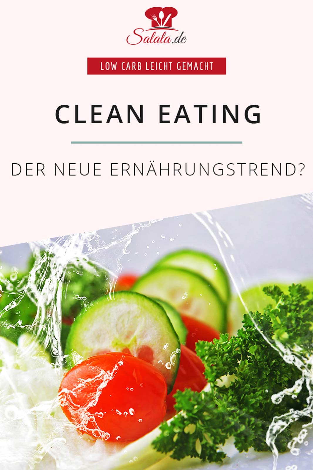 Was ist Clean Eating und was bedeutet cleane Ernährung - by salala (4) Was genau ist denn dieses Clean Eating? Ein neuer Ernährungstrend? Low Carb, Keto und Clean Eating, gehört das zusammen? Oder kann ich das mit jeder Art von Ernährung machen? Genau darauf gehen wir in diesem Artikel ein. #cleaneating #wasistcleaneating #cleanlowcarb #cleanketo #cleaneernaehrung #vollwert #vollwertkost