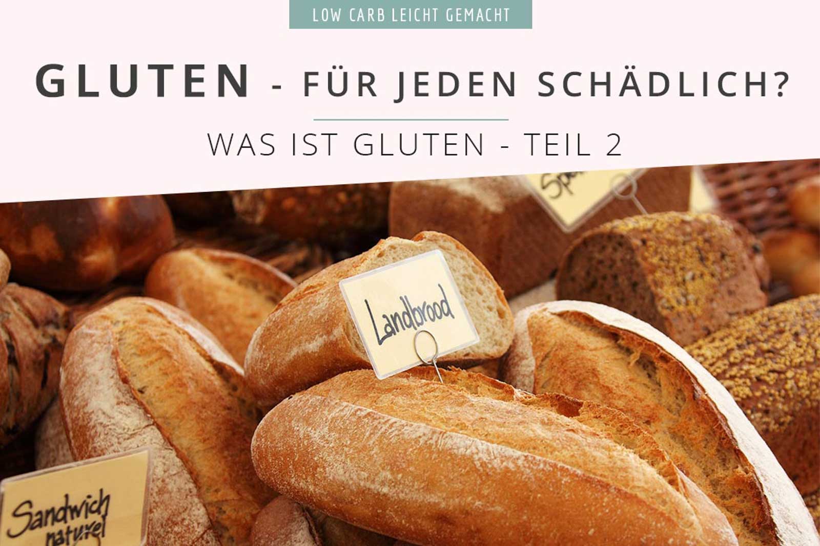 Ist Gluten für jeden schädlich I by salala.de I Gluten Unverträglichkeit ohne Zöliakie (1) Wie schädlich ist dieses Gluten? Sollte wirklich jeder auf Gluten verzichten? Was Gliadin und Glutenin in unserem Darm anrichten können, das erfährst du in diesem Artikel. Danach kannst du selber entscheiden, ob du glutenfrei leben möchtest oder nicht. #lowcarbwissen #gluten #weizenmehl #glutenfrei #weizenfrei #gliadin #glutenin #glutenfreigesund