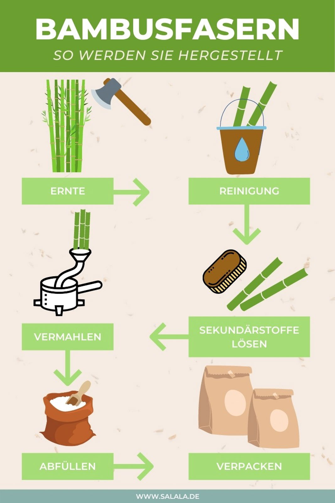 Bambusfasern Herstellung Infografik 1